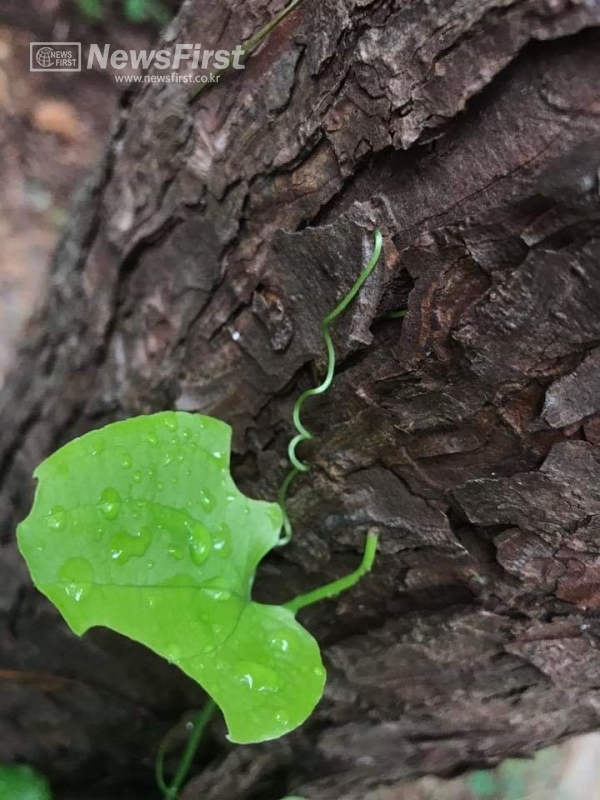 배려와섬김