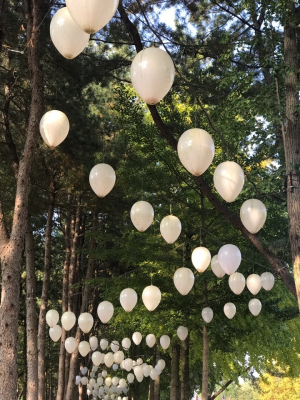 (주)남이섬은 서울 지자체에서 축제에서 사용하고 폐기되는 전등을 기증받아 가로등 전등으로 재활용한 사례