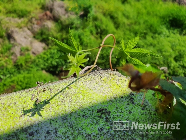 보폭이 다른 우리들의 여정을 서로 인정하고 배려하기