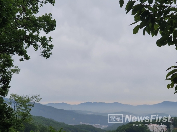 선한 영향력으로 순리 따라가기