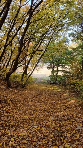 평화로운 가을소리